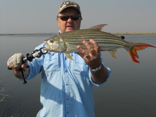 Neil's Tiger Fish 2012